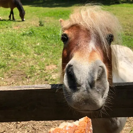 Mobil Homes مكان تخييم غريمو