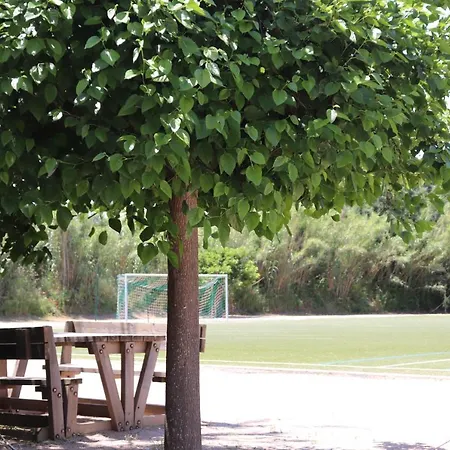 キャンプ場 Mobil Homes