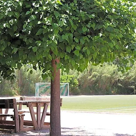 Mobil Homes Campsite 5*