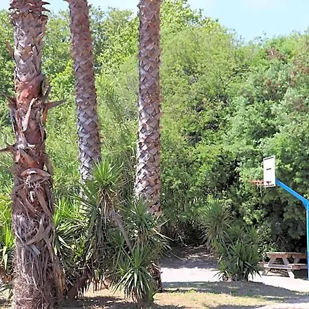 Mobil Homes Campsite Grimaud